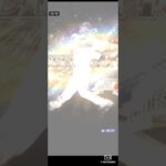 【プロスピA】10周年セレクションガチャ②30連目の悪夢で大絶叫 #プロスピa #プロ野球スピリッツa #shorts #プロ野球