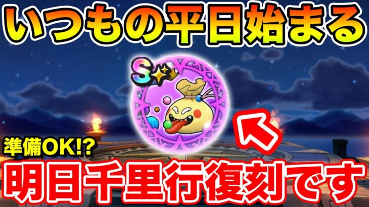 【ドラクエウォーク】いつもの平日が始まりました…!! 明日から毎日千里行が来るぞ～!!【DQW】
