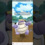 ポケモンGO サマーカップ(ハイパーリーグver) エクスレッグ、トゲデマル、色カメックス