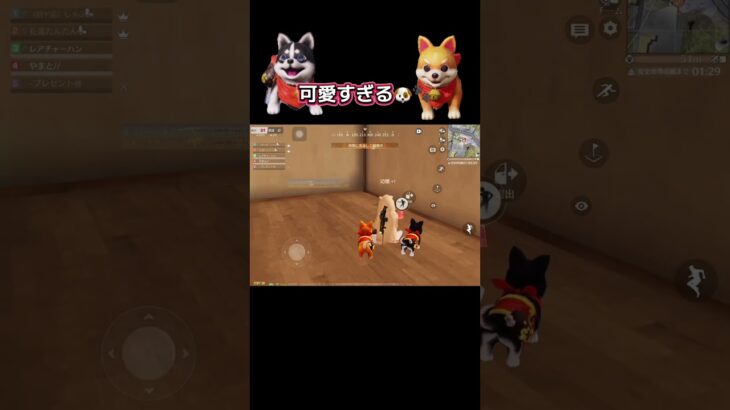 #荒野行動 #新機能#仲間#観戦#荒野再会祭