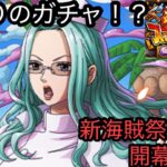 [トレクル]海賊祭ガチャ限アルファ登場！性能評価とガチャ開幕勝負！今回のガチャはオススメ！？[OPTC][海賊祭]