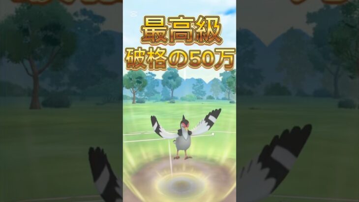 強くないのに弱体化されるハトーボー先輩ポケモンGOスーパーリーグ#superleague #ポケモンsv #ポケモンgoバトルリーグ #pokemongo #gbl #shorts #short