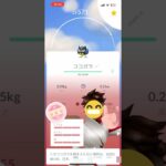 ココガラ大好きだよ#ポケモン#ポケモンGO#ココガラ