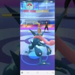 ポケモンGO サマーカップ(ハイパーリーグver) ヒスイバクフーン、ジバコイル、色カエンジシ♀