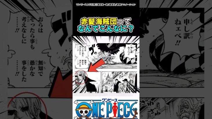 【ワンピース】赤髪海賊団ってなんでこんなにさ？#ワンピース