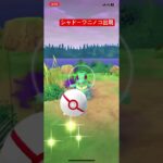 シャドーワニノコ#pokemongo #pokemon #ポケモンgo色違い #ポケモンgo #ポケモン