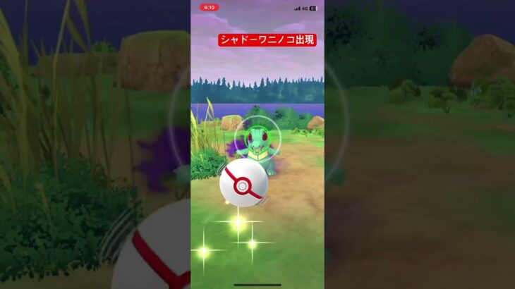 シャドーワニノコ#pokemongo #pokemon #ポケモンgo色違い #ポケモンgo #ポケモン