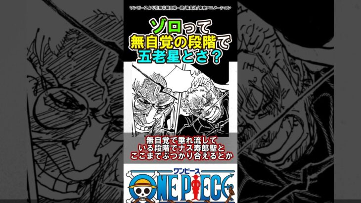 【ワンピース】ゾロって段階すっ飛ばしてるよね？#ワンピース