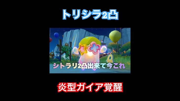 【原神】シトラリ2凸出来て今これ　#原神　#genshinimpact  #shors #今これ