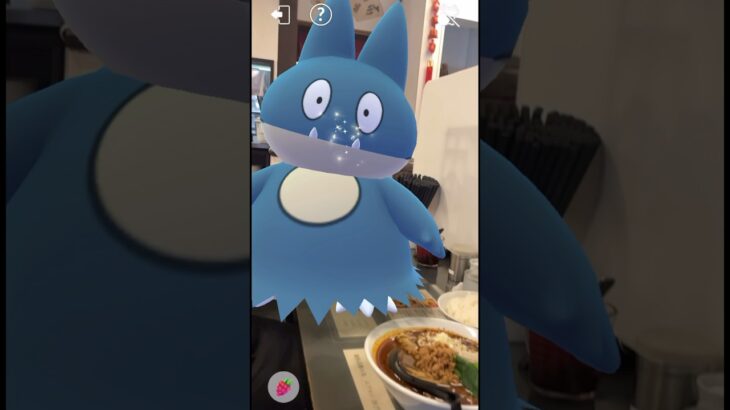 ゴンベと担々麺デート❤️#pokemon #ポケモンgo #shorts #夏休み #声真似