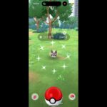 ココガラのコミュディゆるっと参戦してきた！ #ポケモンgo #pokemongo #ポケモン