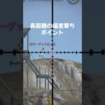 荒野行動  RNの8スコの解説