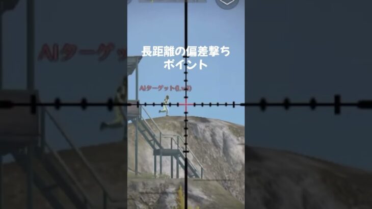 荒野行動  RNの8スコの解説