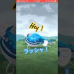 ヘイラッシャ初捕獲！ #ポケモンgo #ポケモン #pokemon #ポケットモンスター #pokemongo #ヘイラッシャ