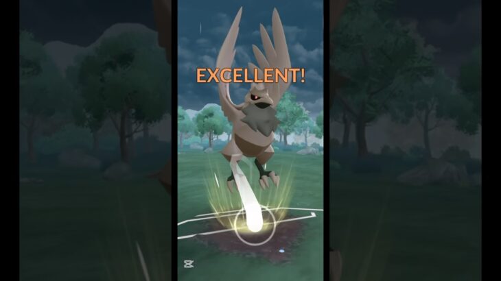 鋼鎧鴉的潑沙集氣快 #ポケモンgo #pokemongo #pokemongocommunityday