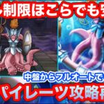 【ドラクエウォーク】スキル制限ほこらでも安定攻略！中盤からフルオートでOK！ヘルパイレーツ攻略再び【ドラゴンクエストウォーク】