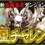 【金星チャレンジ】守霊の天体 金星の守護者 鬼滅コラボキャラで初見チャレンジ！！【パズドラ】【鬼滅の刃コラボ】