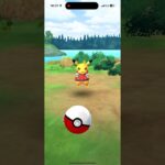アナハイムピカチュウ極小→逆100→極小【ポケモンGO】