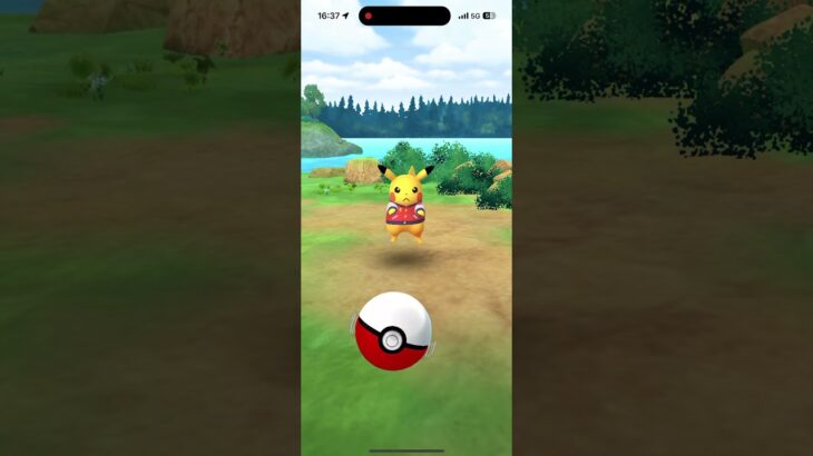 アナハイムピカチュウ極小→逆100→極小【ポケモンGO】