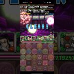 なんじゃこりゃ【パズドラ】