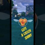 POKÉMON GO || SHINY COMBEE || EVOLUTION ||