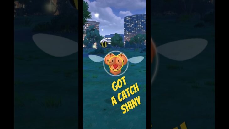 POKÉMON GO || SHINY COMBEE || EVOLUTION ||