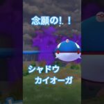 【ポケモンGO】ゲットなるか！？　念願のシャドウカイオーガ！　#shorts #ポケモン #ポケモンgo #ゲットチャレンジ #カイオーガ