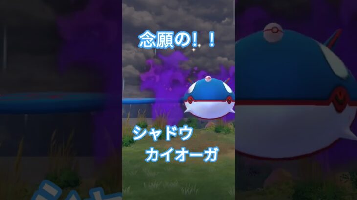 【ポケモンGO】ゲットなるか！？　念願のシャドウカイオーガ！　#shorts #ポケモン #ポケモンgo #ゲットチャレンジ #カイオーガ