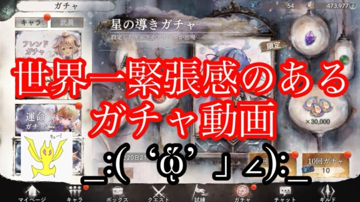 【メメントモリ】この世で最も緊張感のあるガチャ動画【メメモリ】