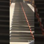 Ash Pile(フィアー) – Piano  Arrangement #メメントモリ #ピアノ #弾いてみた