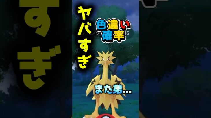 【ポケモンGO】ガラル三鳥色違いきたー！！俺じゃないけどね！！