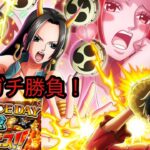 [トレクル]ONE PIECE DAY記念スゴフェス開幕勝負！一点狙い成功なるか！？[OPTC]