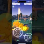 高耐久パフュートン最高！！　　スポットライトアワー産【ポケモンGO 速成カップ】