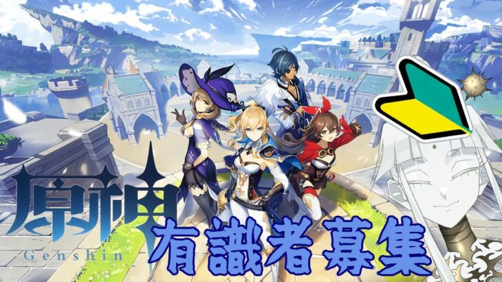 【 #原神 🔰】レベリング？終わってませんけど【白蓮/Vtuber】