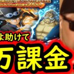 [トレクル]スゴフェス! サボかコアラか…第3弾と第1弾を迷い更に攻めた結果…まさか?[OPTC]