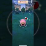 【難易度中】色違いグルトン極小サークルクリティカルゲット【ポケモンGO】
