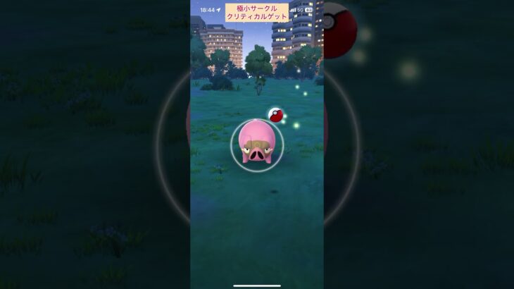 【難易度中】色違いグルトン極小サークルクリティカルゲット【ポケモンGO】