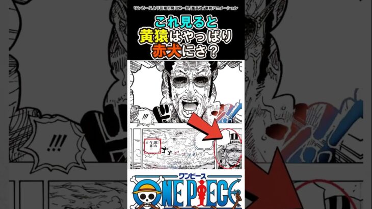 【ワンピース】黄猿は赤犬に甘えるしか無かったよな？これ#ワンピース