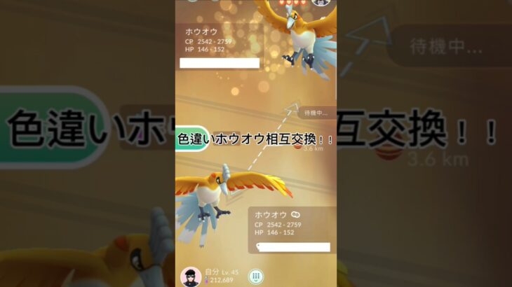 色違いホウオウキラ交換！！色違い100こい！！#ポケモンgo #ポケモン #キラ交換