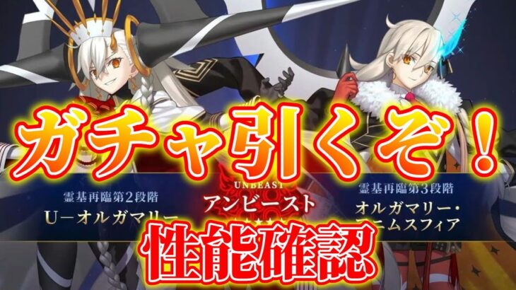 【FGO】オルガマリー引かせていただきます。10周年、本当におめでとうございます！！【Fate/Grand Order】