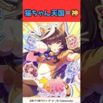 猫ちゃん天国＝神 #ウマ娘プリティーダービー #umamusume #ウマ娘