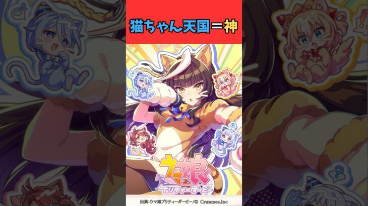 猫ちゃん天国＝神 #ウマ娘プリティーダービー #umamusume #ウマ娘