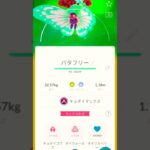 #バタフリー #キョダイマックス #ポケモンgo #おすすめ