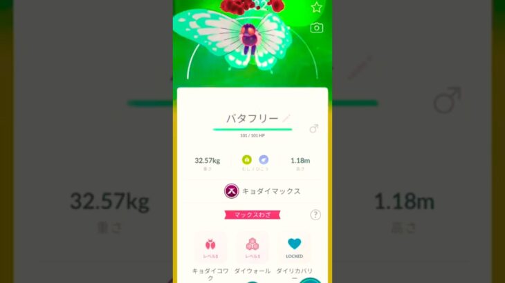 #バタフリー #キョダイマックス #ポケモンgo #おすすめ