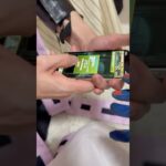 パズドラの鬼滅ガチャを童磨に勝手に引かれる猗窩座📱童磨← @hikarin_0208#声真似 #鬼滅の刃 #猗窩座 #童磨 #無限城編 #kimetsunoyaiba #demonslayer