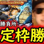[トレクル]スゴフェス! サボ狙いの戦いリベンジの結果…え?[OPTC]