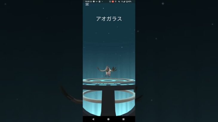 色違いココガラ進化【ポケモンGO】コミュニティデイ