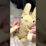 【あんスタMusic】Silent Oath SPP #大彩 #ぬいぐるみ #あんさんぶるスターズ #あんスタ #knights