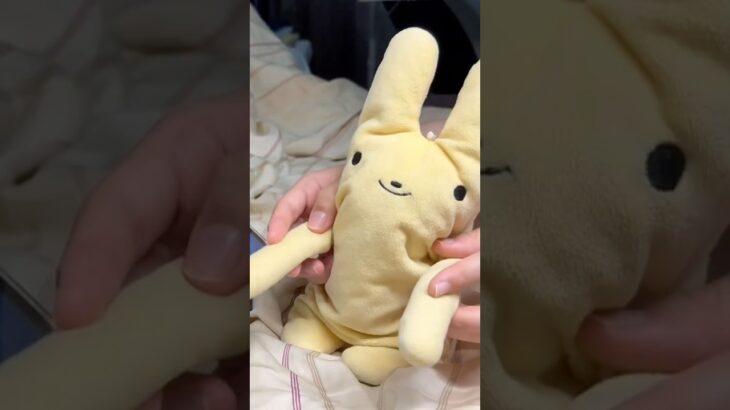 【あんスタMusic】Silent Oath SPP #大彩 #ぬいぐるみ #あんさんぶるスターズ #あんスタ #knights