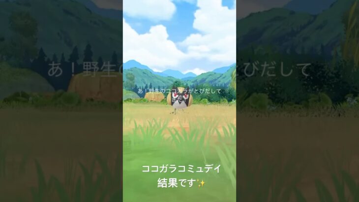 2025.8.30日  ココガラコミュデイ結果✨ #ポケモンgo
